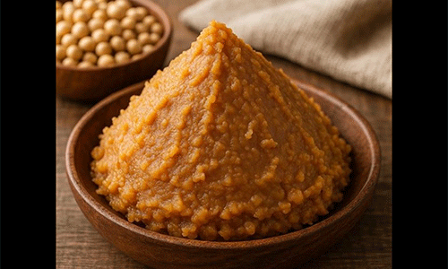 [帯広]発酵のプロ直伝！味噌づくり＆発酵ランチ｜TOWAの大豆を使った体験教室