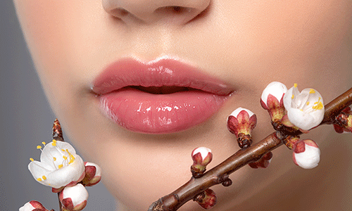 [札幌]プロが教える！パーソナルカラー診断＆メイク講座｜似合う色で魅力を引き出す