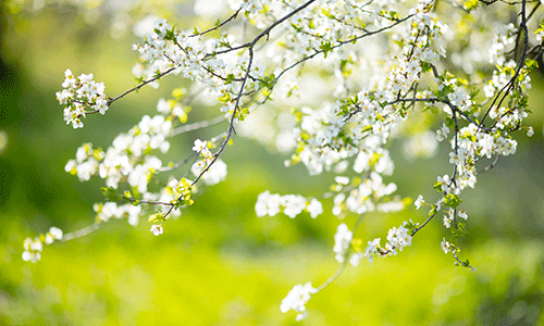 [旭川]冬も夏も快適な住まいへ｜断熱リフォーム相談会