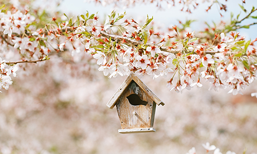 [盛岡]エコ＋冬は暖かく夏涼しい快適な住まいへ！断熱リフォーム相談会