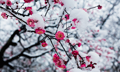 [盛岡]エコ＋冬は暖かく夏涼しい快適な住まいへ！断熱リフォーム相談会