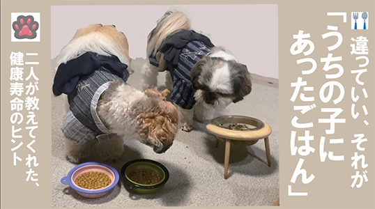 [銀座]「犬の健康寿命を延ばす食習慣」〜5年後も元気に過ごすために、今“うちの子に合う食事”を考える〜