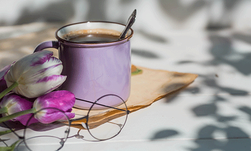 [札幌]断熱リフォーム相談会｜マンション・戸建の寒さ・暑さ・結露を徹底解消！快適な住まいへ