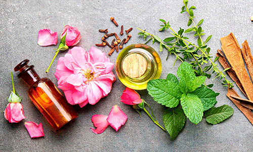 銀座ショールーム開催｜北海道十勝とリモートでつながる ボタニカル香り体験イベント