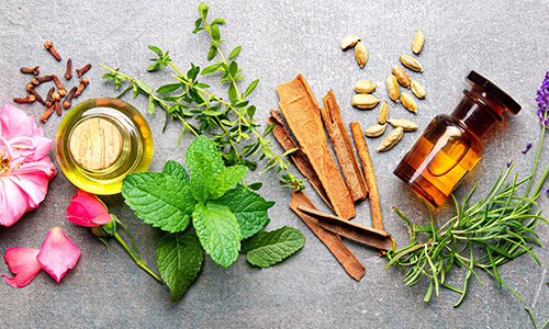 十勝 宿泊体験型モデルハウスTOWAの家のご紹介・北海道十勝とリモートでつながる ボタニカル香り体験イベント 