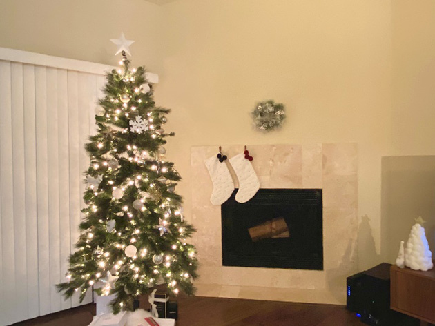 アメリカでのクリスマスの過ごし方 本物のもみの木でクリスマスツリー 土屋ホームトピア スタッフブログ