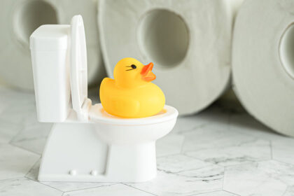 【新事務所のトイレ紹介】快適＆おしゃれな空間づくりのヒント