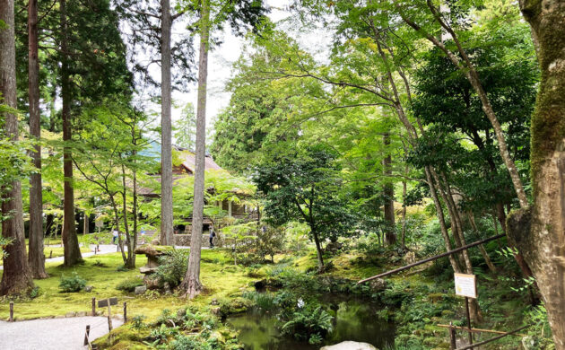 三千院 庭園(聚碧園)