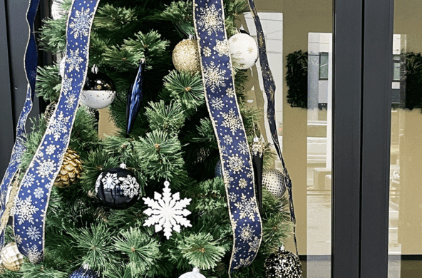 旭川支店ショールームにクリスマスツリーが登場しました！