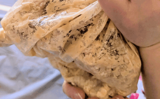 手を動かしながら知る、発酵のしくみ。
味噌になるまでの大切なひと手間。