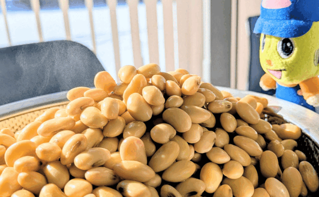 ゆであがった十勝産大袖振大豆。ゆでただけでも食欲をそそる香りが広がります。
(写りこんでいるのは、大袖振大豆のマスコットキャラクター「おおそでくん」です)