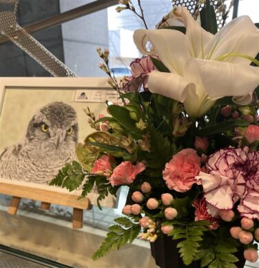 ぜひ、お越しください!