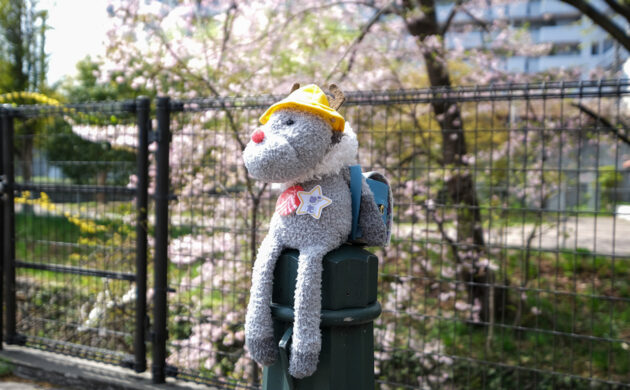 桜×ランドセル×ぽたくん