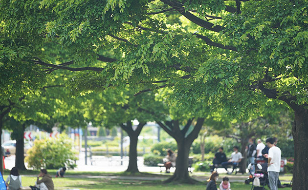 公園